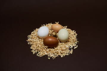 Fresh chicken and quail eggs in a nest on sawdust