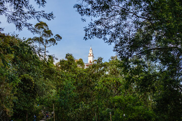Church surrounded by trees and nature