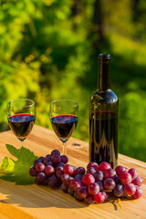 Fototapeta premium wine bottle and grapes