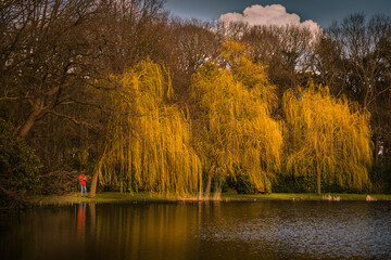 autumn landscape with lake