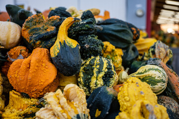 Decorative Gourds in Giant Stack