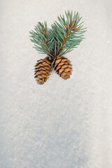 Pine cones on snow, Merry Christmas and Happy New Year, greeting card. Christmas pine cones with snow flakes - flat lay