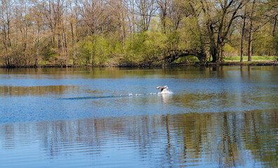 Frühling in Hermann-Löns-Park Hannover