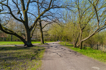 Naklejka premium Frühling in Hermann-Löns-Park Hannover