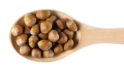 Hazelnuts pile in wooden spoon isolated on white background, top view