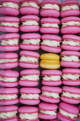Bright macaroons taken in close-up. Colorful sweets