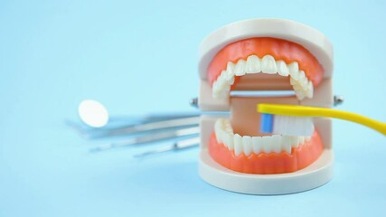 Oral cavity care. how to properly brush teeth with a toothbrush