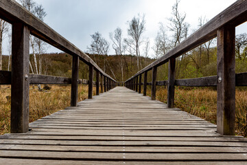 Fototapeta na wymiar Wooden bridge across the marshland. The landscape Teufelssee.