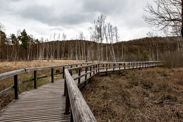 Wooden bridge across the marshland. The landscape Teufelssee.