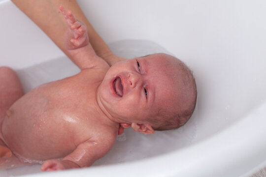 Newborn baby is being bathed by his mother. Newborn baby crying in bath time