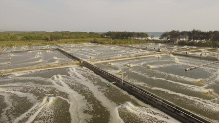 Fototapeta premium shrimp, prawn farming with with aerator pump for oxygenation water. Shrimp farms aerial view aquaculture business exported international market. java, indonesia