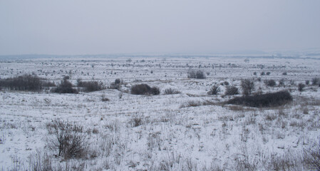 Steppe in winter in the East of Ukraine
