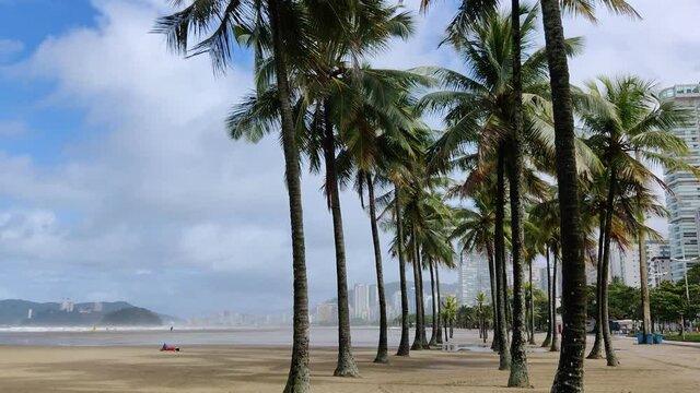 Exotic beach with palms. Santos, Brazil.