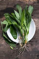 Raw organic green ramps or wild garlic