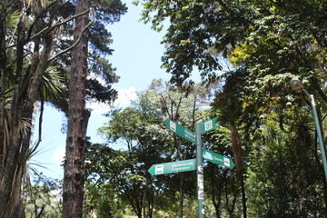 down town bogota