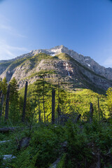 Fototapeta premium Mountain in Glacier National Park