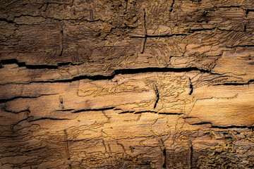 texture of wall, old wood texture