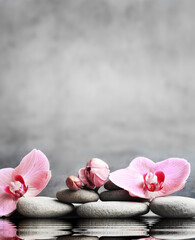 Set of pink orchid and gray spa stones on water and reflection.
