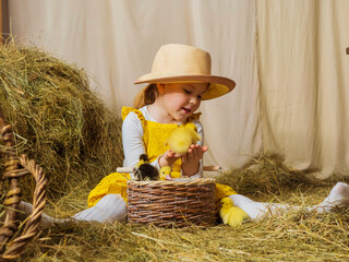Little red-haired girl with hay with ducklings