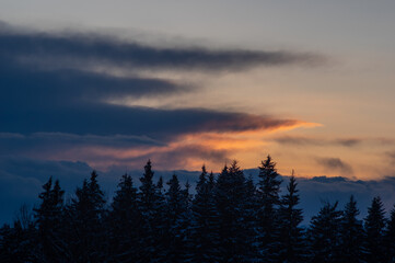 Silhouettes of trees in winter in the mountains against the background of clouds at sunset