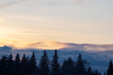 Silhouettes of trees in winter in the mountains against the background of clouds at sunset