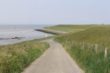 Papier Peint photo Anvers a road at a dike crossing at the westerschelde sea at the dutch coast in zeeland in springtime
