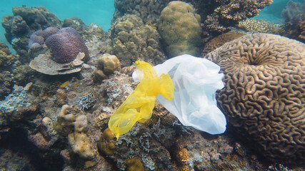 Environmental Problem - plastic trash on a coral reef. A plastic bag on a coral reef. Ecological problem. © Alex Traveler