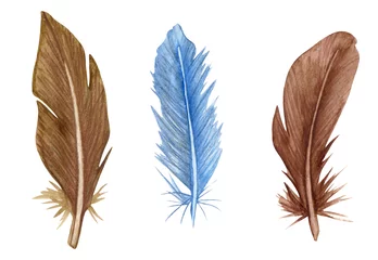 Papier peint Plumes Ensemble de plumes à l& 39 aquarelle. Clipart de plumes d& 39 oiseaux dessinés à la main.
