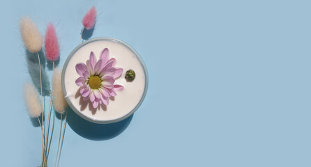  cream cosmetic flower on colored background 