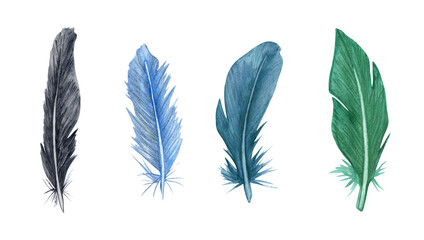Watercolor feather set. Hand drawn bird feathers clipart.