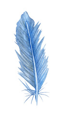 Watercolor blue birds feather. Single feather isolated on white