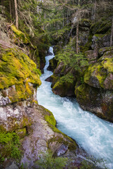 Lower Avalanche Gorge, Glacier National Park, Montana