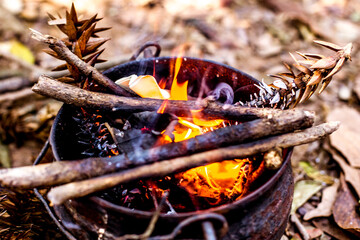 holly fire