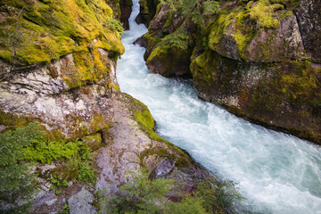 Lower Avalanche Gorge, Glacier National Park, Montana