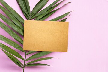 Blank brown paper on tropical palm leaves on pink background.