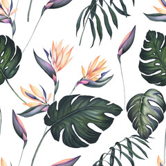 Seamless Pattern of Watercolor Strelitzia and Monstera Leaves