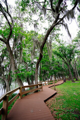 Hillsborough river at Tampa, Florida	
