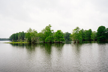 Fototapeta premium The landscape of Hillsborough river bank at Tampa, Florida