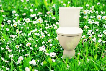 Fresh flush toilet bowl in the meadow