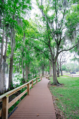 The landscape of Hillsborough river bank at Tampa, Florida