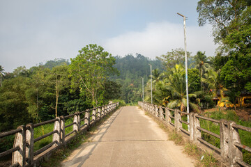 Fototapeta na wymiar old scenic road and bridge with railing in Sri Lanka countryside surrounded by evergreen greenery, spectacular hills in background.