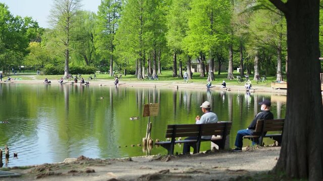 公園の池でたそがれる老人達