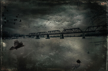 bridge and crows
