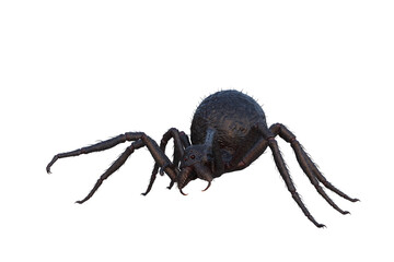 3D illustration of a giant monster spider ready to pounce isolated on white.