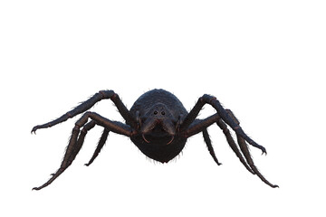 3D illustration of a giant monster spider standing and isolated on white.