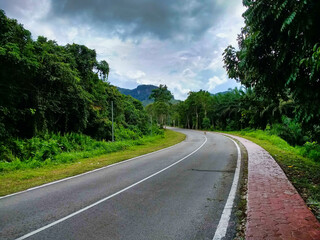 Asphalt Road in the Jungle. Tropical vegetation and clouds in the sky. Palms and green trees. Sabah. Borneo island. Malaysia. South-East Asia