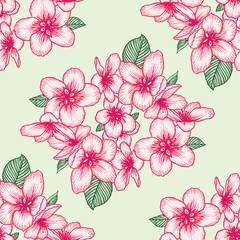 Seamless floral pattern, apple flowers light botanical vector background illustration