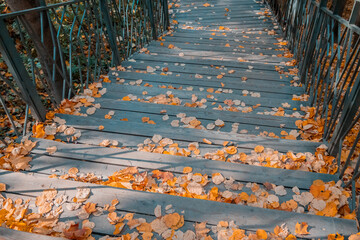 Descending stairs in the autumn city park.