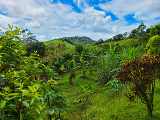 Fototapeta na wymiar Costa Rican rural farm