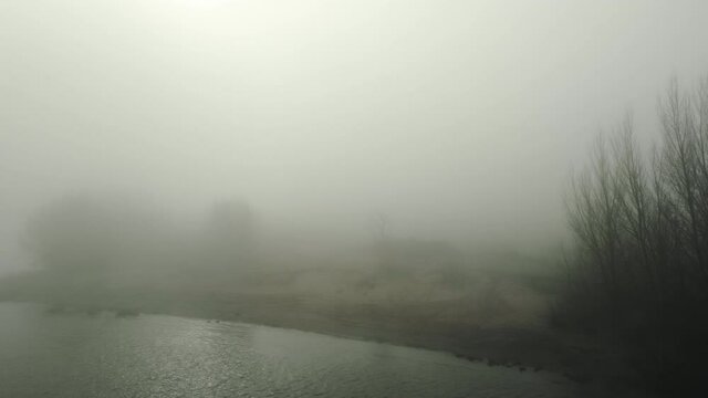 River and bare trees covered with fog, Brakel, Netherlands